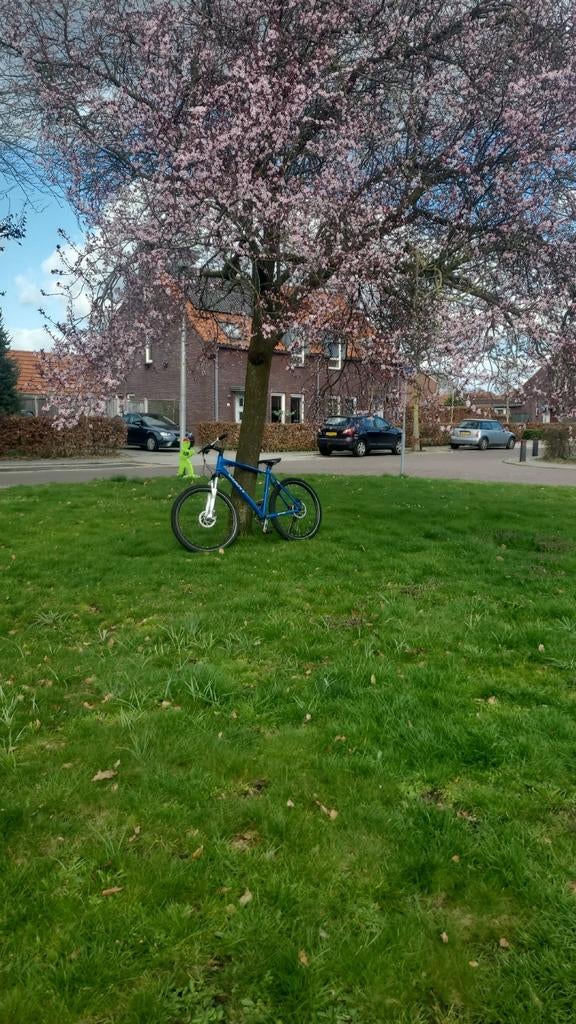 Giant Project Fiets - Blauw, Goede Staat, Fietsen en Brommers, Fietsen | Mountainbikes en ATB, Ophalen of Verzenden