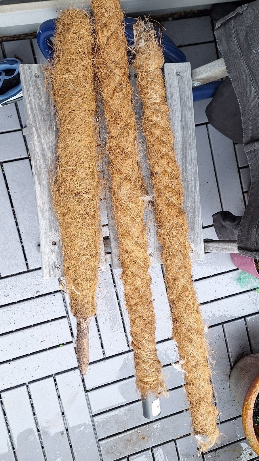 Kokos klimpalen voor planten (3 stuks), Ophalen, Klimplanten