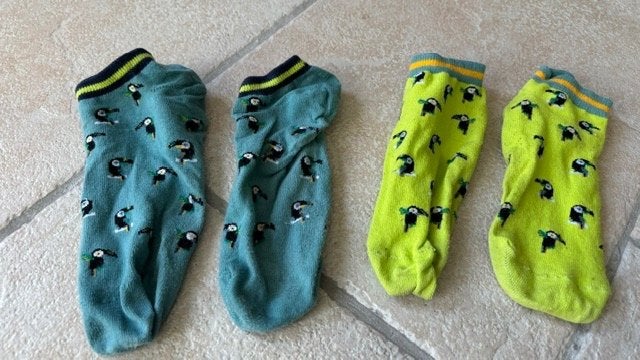 Korte sokken 38-40 2 paar toekan, Kleding | Heren, Sokken en Kousen, Ophalen of Verzenden, Gedragen, Overige maten