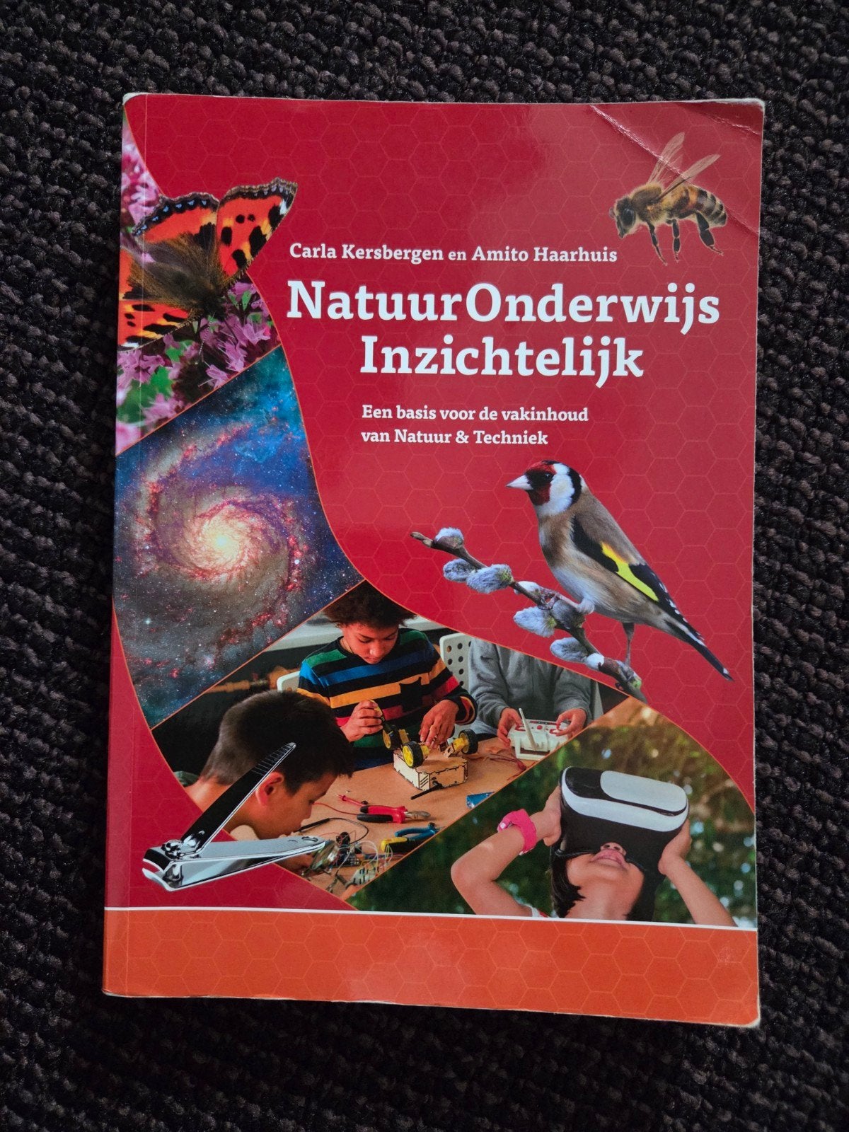 Carla Kersbergen - Natuuronderwijs inzichtelijk, Boeken, Ophalen of Verzenden, Zo goed als nieuw, Carla Kersbergen; Amito Haarhuis