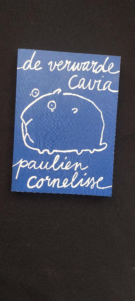 De verwarde cavia, Boeken, Literatuur, Ophalen of Verzenden, Zo goed als nieuw, Paulien Cornelisse, Nederland