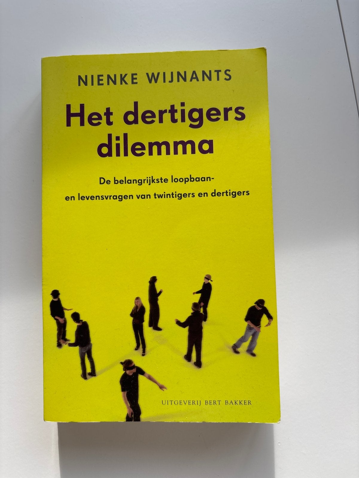 Het dertigers dilemma - Nienke Wijnants, Ophalen of Verzenden, Zo goed als nieuw, Nederland