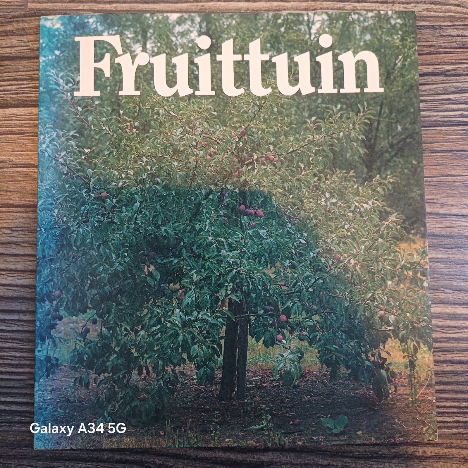 Fruit Tuin Boek - Alles over fruitbomen en -struiken, Ophalen of Verzenden, Gelezen, Onbekend, Tuinieren en Tuinplanten