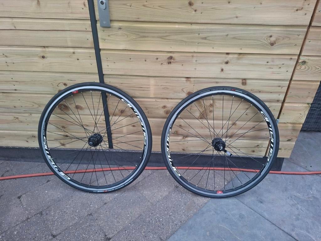 Colnago Wielset - voor Racefietsen, Fietsen en Brommers, Gebruikt, Aluminium, Meer dan 20 versnellingen, Ophalen