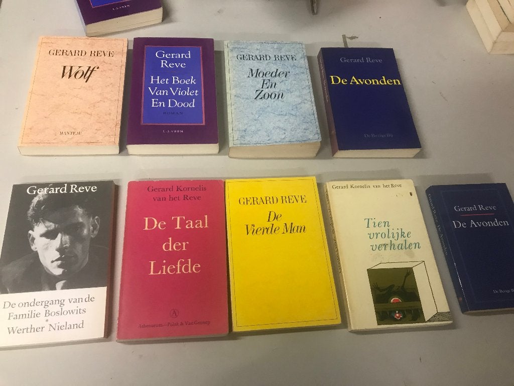 T.K. nog 3 boeken van Gerard Reve Zie actuele lijst, Ophalen of Verzenden, Gelezen, Gerard Reve, Nederland