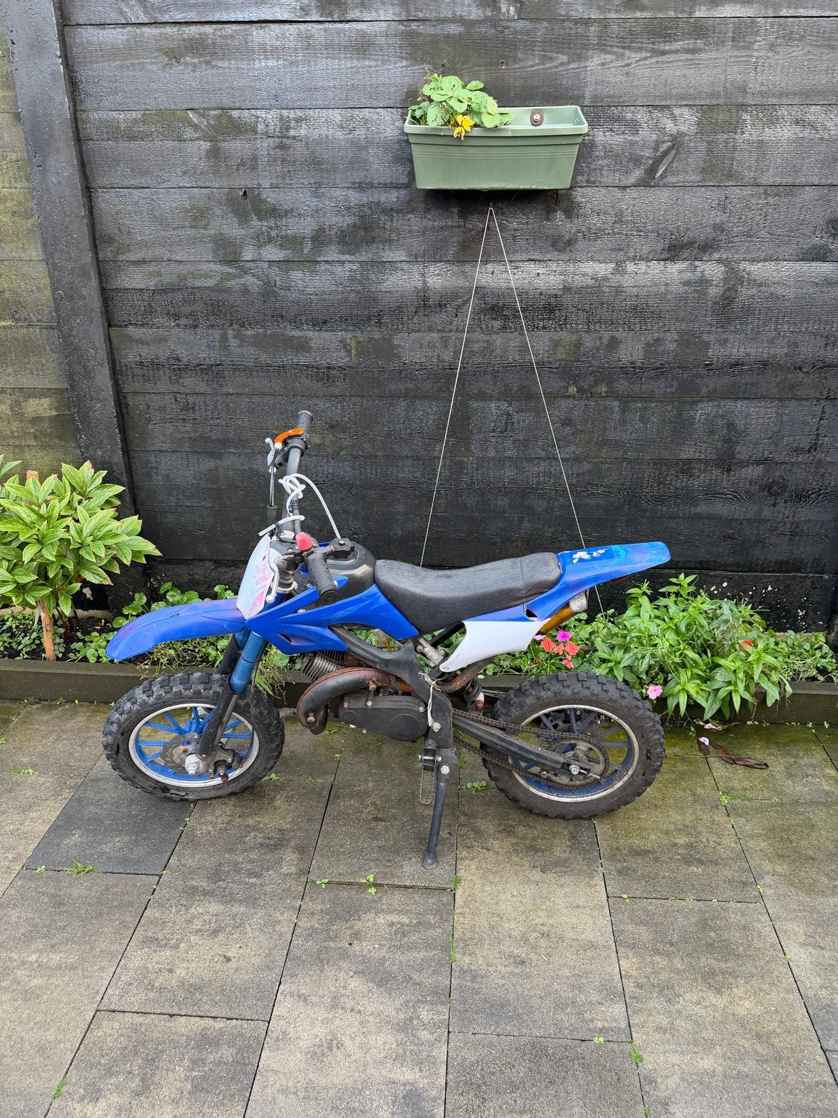 Pitbike 49cc - Start niet, voor de handige klusser, Fietsen en Brommers, Ophalen, Gebruikt, Pitbike