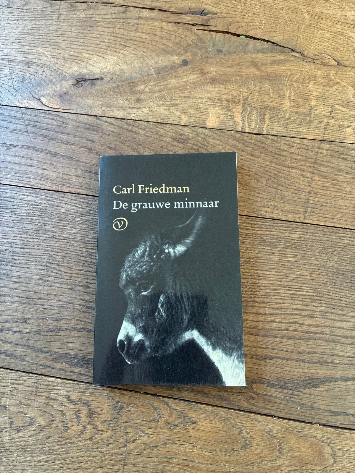 Carl Friedman - De grauwe minnaar (Boek), Ophalen of Verzenden, Zo goed als nieuw, Nederland