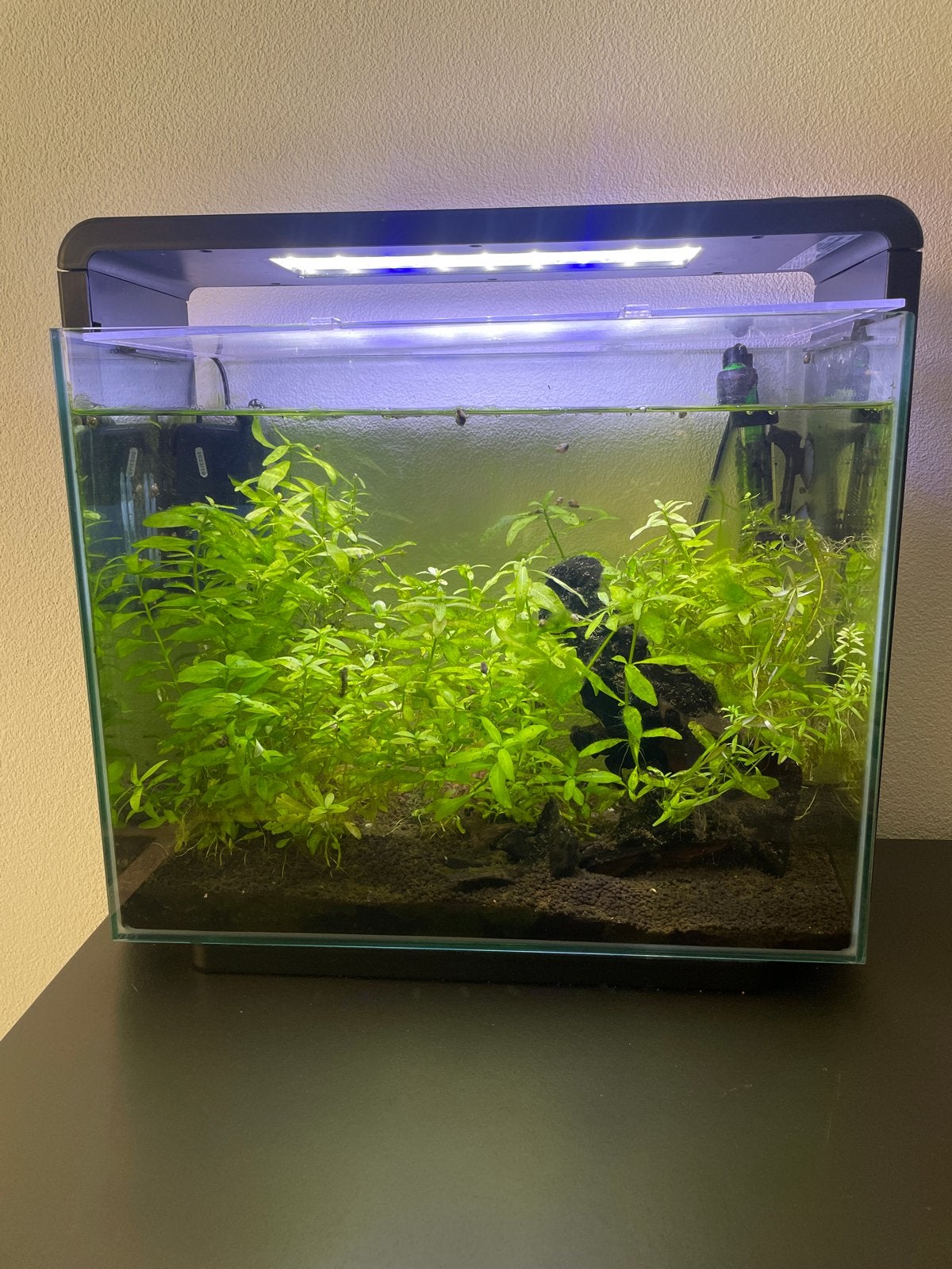 Superfish led home 45 aquarium compleet, Ophalen, Zo goed als nieuw, Leeg aquarium