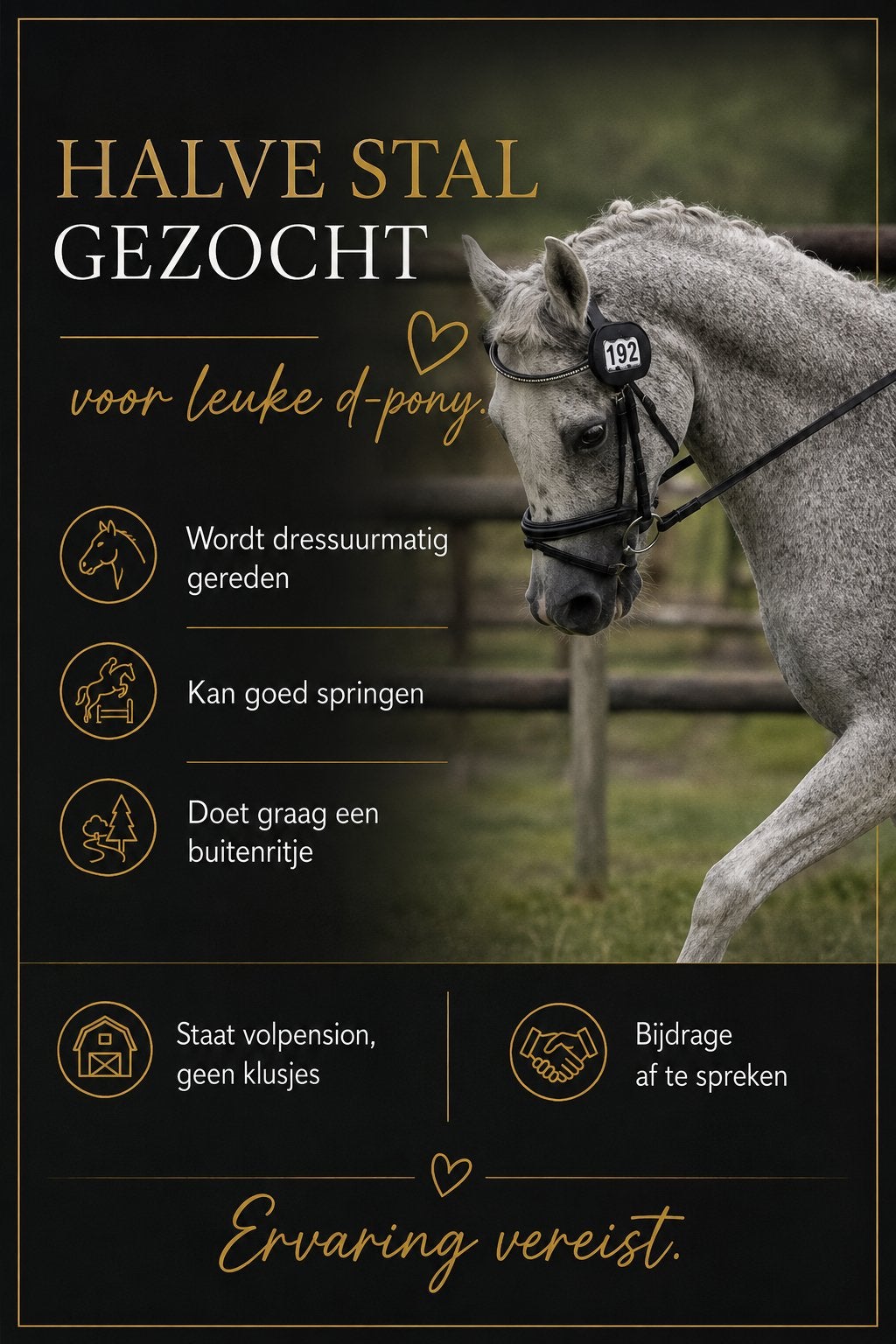 Halve stal/bijrijder gezocht voor D-pony, Ophalen, Zo goed als nieuw, Paarden of Pony's