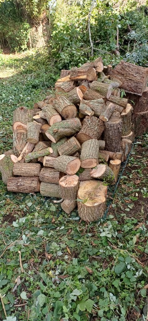 Kachelhout Haardhout, Minder dan 3 m³, Ophalen, Overige houtsoorten, Blokken