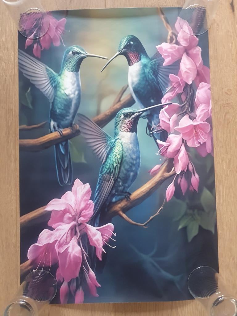 Nieuwe canvasposter 40x60, Ophalen of Verzenden, Nieuw