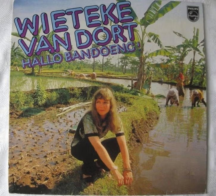 15. LP Wieteke van Dort 1979, Cd's en Dvd's, Ophalen of Verzenden, Zo goed als nieuw