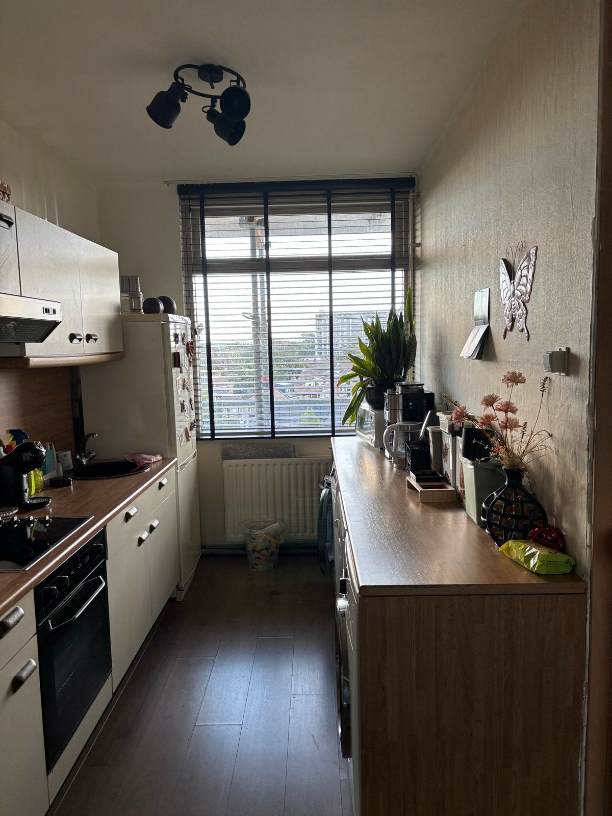 Zwarte houten jaloezie met ladderband - diverse maten, Ophalen, Gebruikt, Zwart, Hout