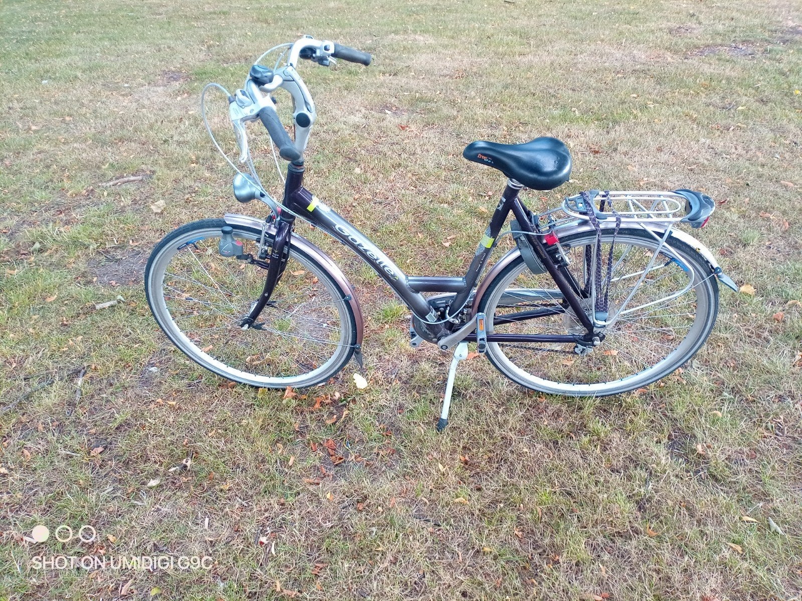 Gazelle Damesfiets - Comfortabel  ophalen in Drachten, Fietsen en Brommers, Fietsen | Dames | Damesfietsen, Ophalen, Velgrem, Versnellingen