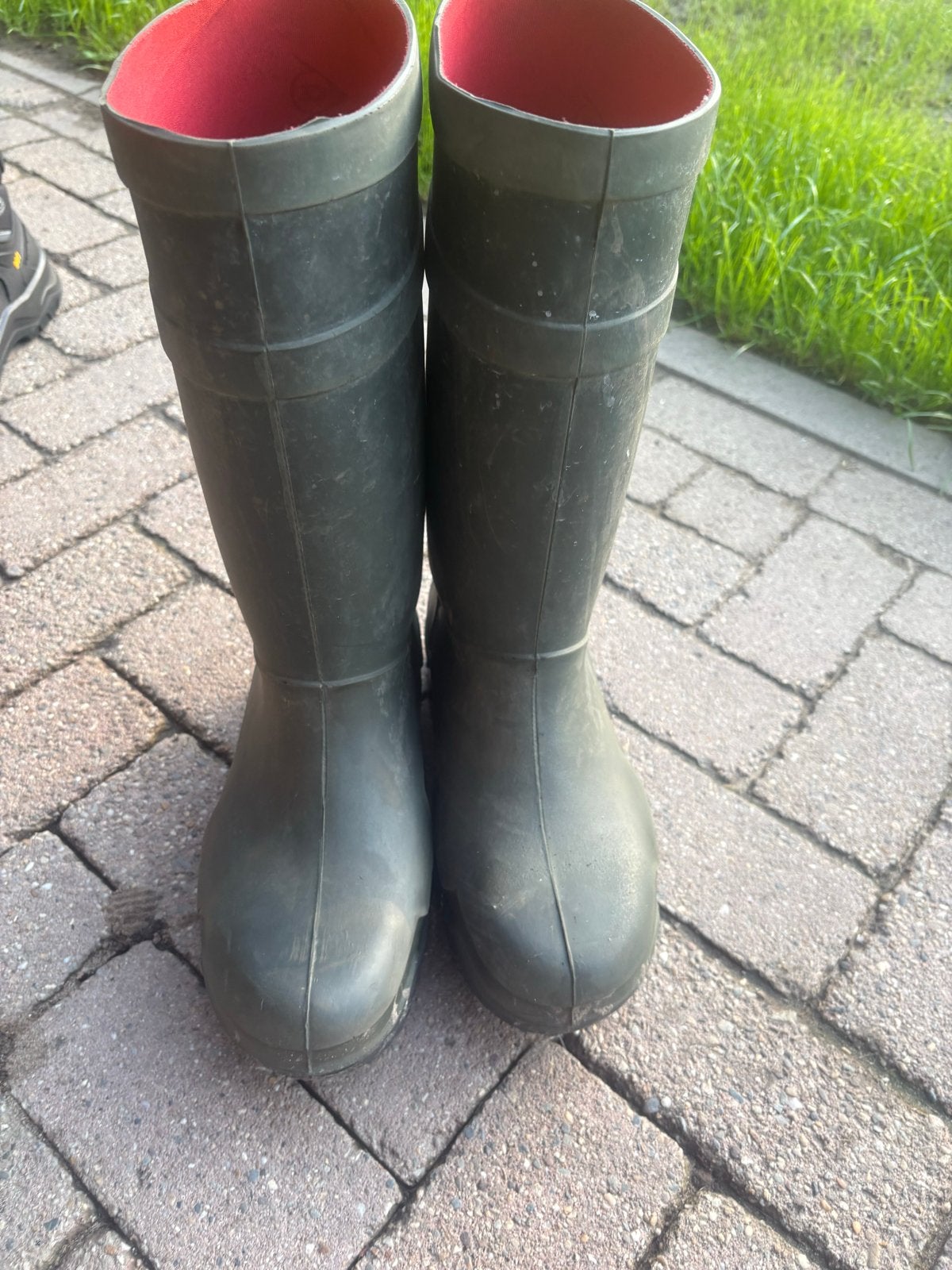 Dunlop Purofort regenlaarzen - Maat 46, Ophalen of Verzenden, Gedragen, Overige kleuren, Regenlaarzen