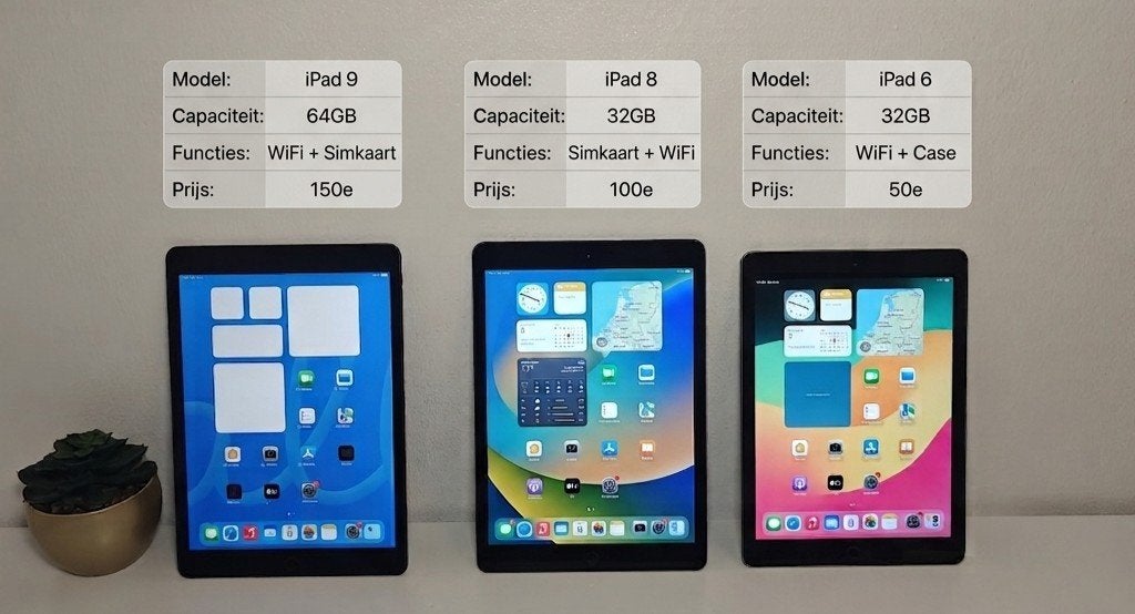 iPad 9, iPad 8, iPad 6, Computers en Software, Apple iPads, 10 inch, Gebruikt, 32 GB, Apple iPad