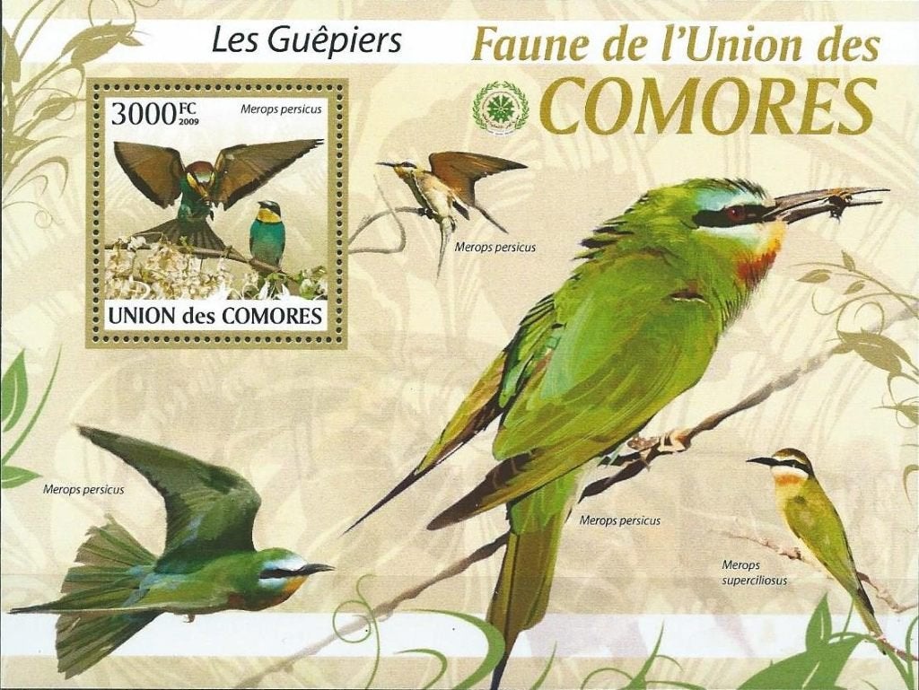 Vogels - Comoren - Mi blok 514 - Postfris, Ophalen of Verzenden, Postfris, Dier of Natuur