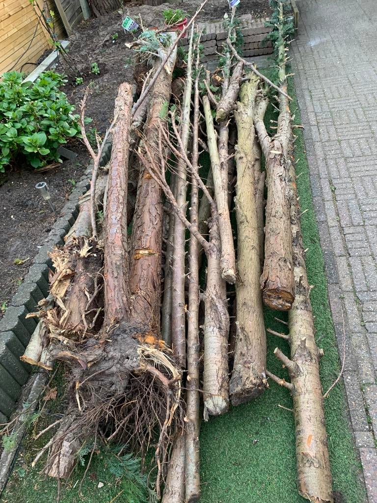 Gratis afhalen hout, Tuin en Terras, Minder dan 3 m³, Ophalen