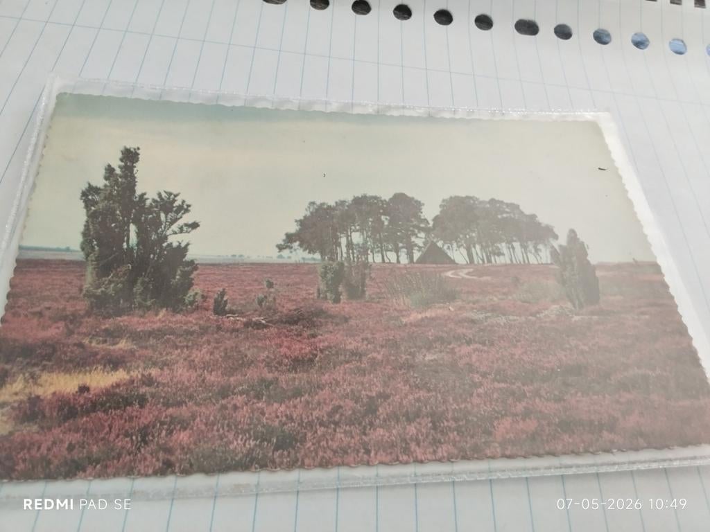 FOTOANSICHTKAART EDE GLD HEIDE LANDSCHAP GELOPEN 1960, Ophalen of Verzenden, 1960 tot 1980, Gelopen, Gelderland