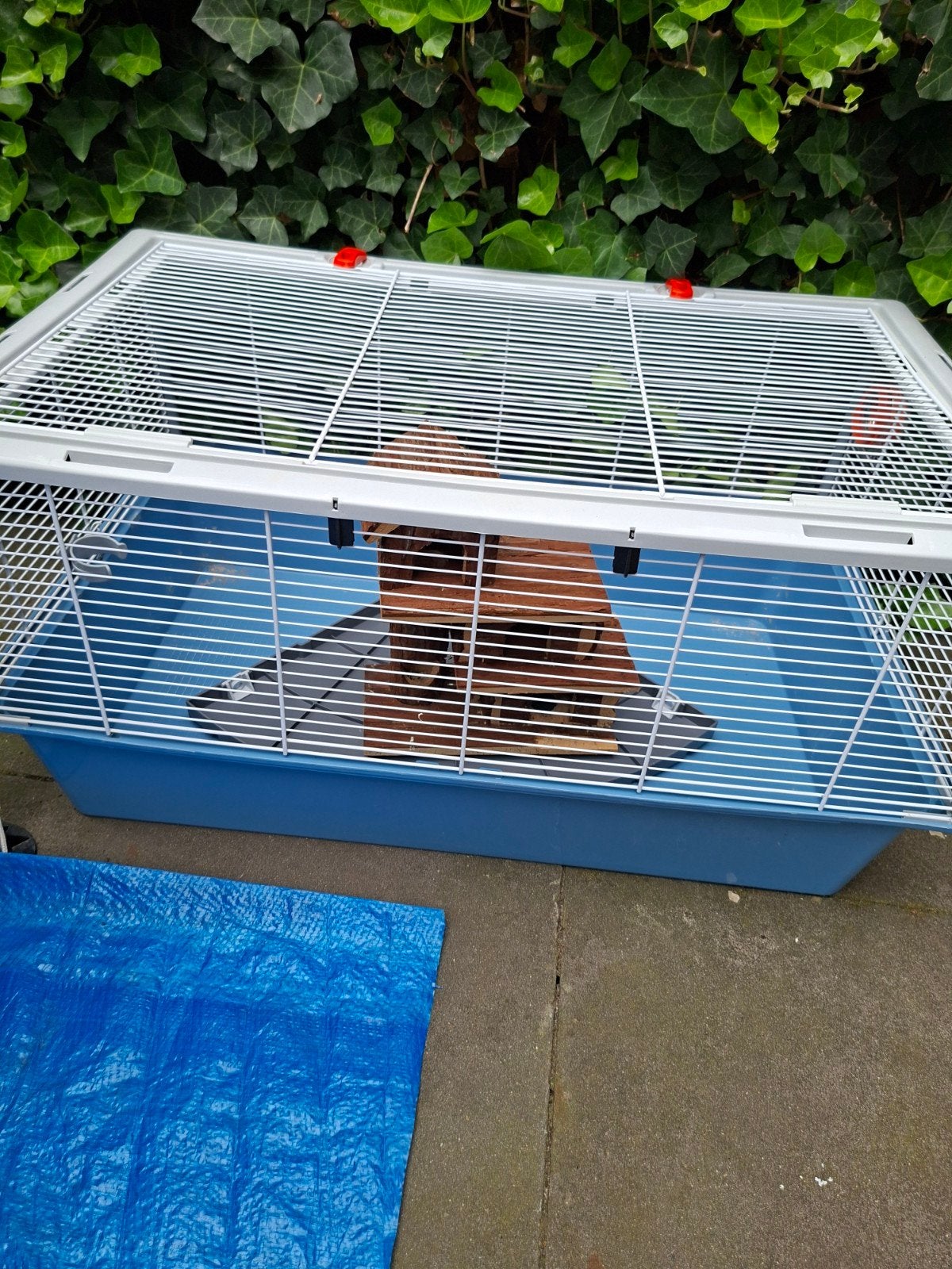 Kooi voor hamsters en cavia's GRATIS op te halen, Dieren en Toebehoren, Kooi, 75 tot 110 cm, Cavia, Ophalen