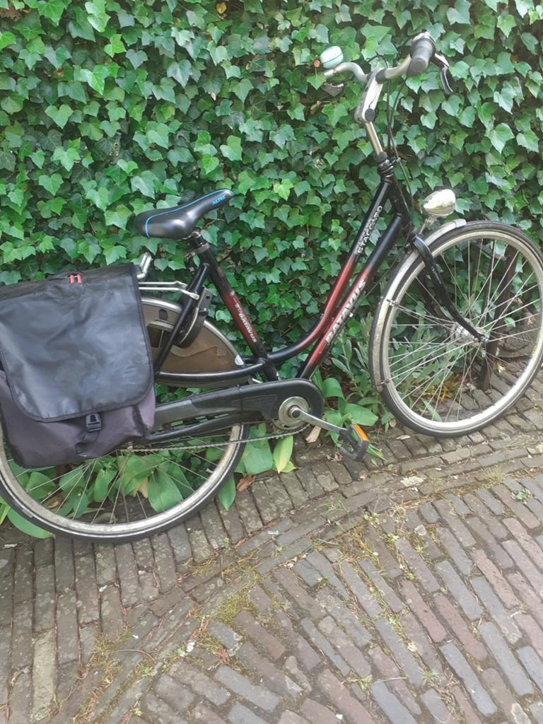 Batavus Staccato, Fietsen en Brommers, Fietsen | Dames | Damesfietsen, 53 tot 56 cm, Ophalen, Gebruikt, Batavus