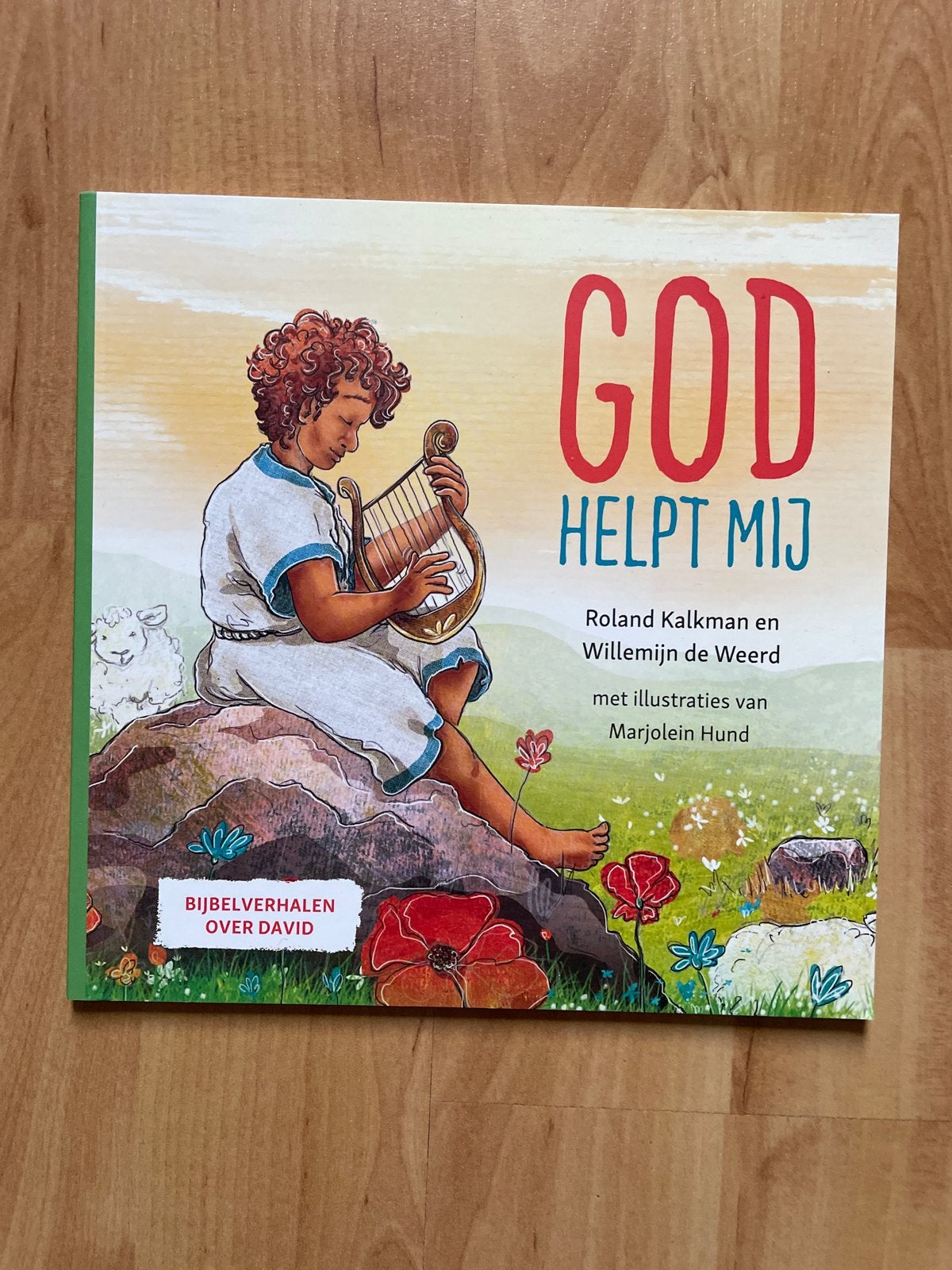 God Helpt Mij - Bijbelverhalen over David (Kinderboek), Ophalen of Verzenden, Zo goed als nieuw