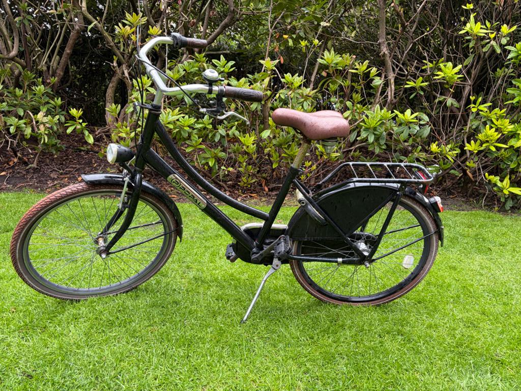 Popal Daily Dutch Basic Damesfiets 28 inch, Fietsen en Brommers, Fietsen | Dames | Damesfietsen, Gebruikt, Overige merken, (Extra) lage instap