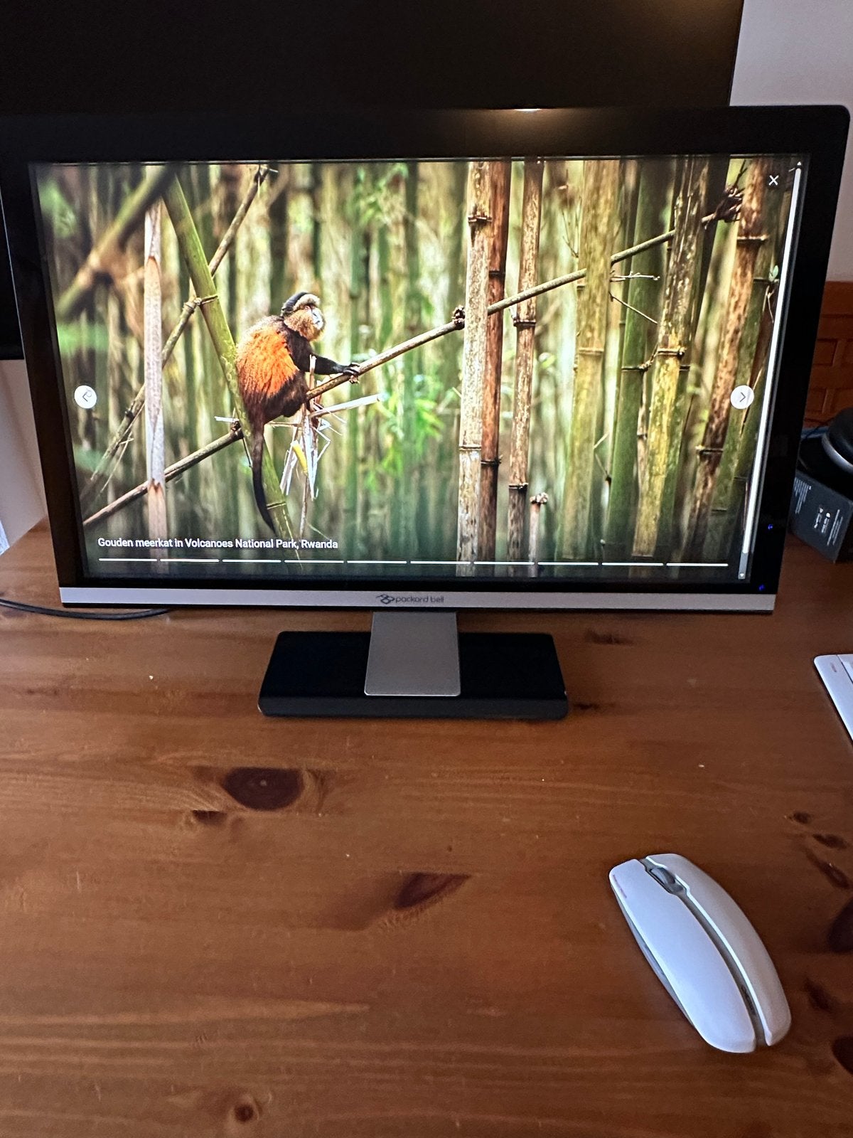 Packard Bell Maestro 242Ws LCD Monitor Full HD, Ophalen, Kantelbaar, Full HD, 60 Hz of minder