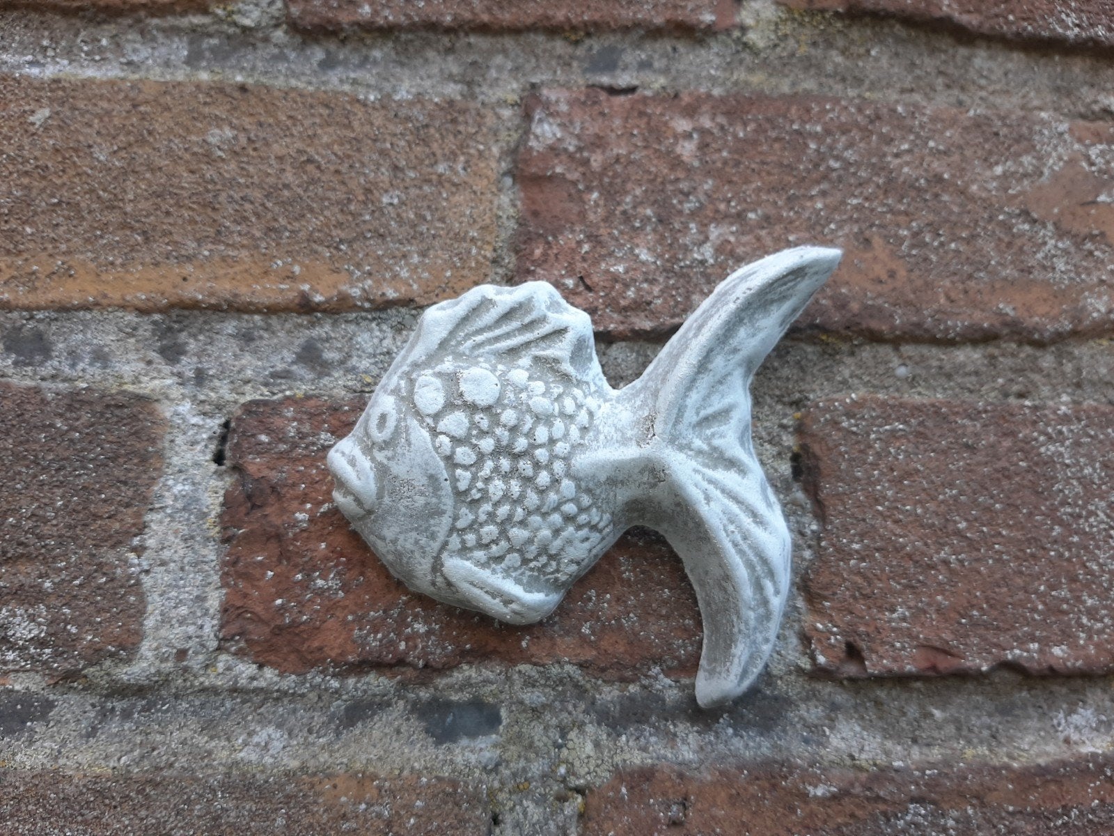 Vis wanddecoratie betonnen beeld tuinbeeld beton visje, Ophalen of Verzenden