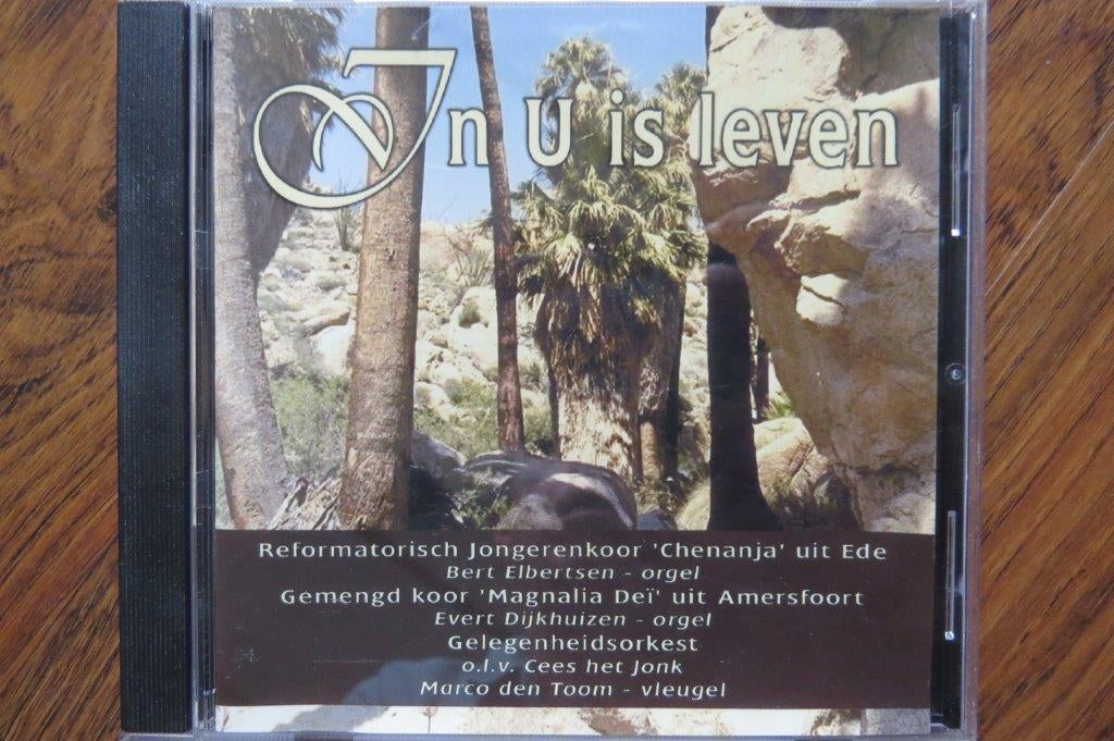 Cd pasen: In u is leven, Chenanja Ede, Marco den Toom, orgel, Ophalen of Verzenden, Zo goed als nieuw, Gospel
