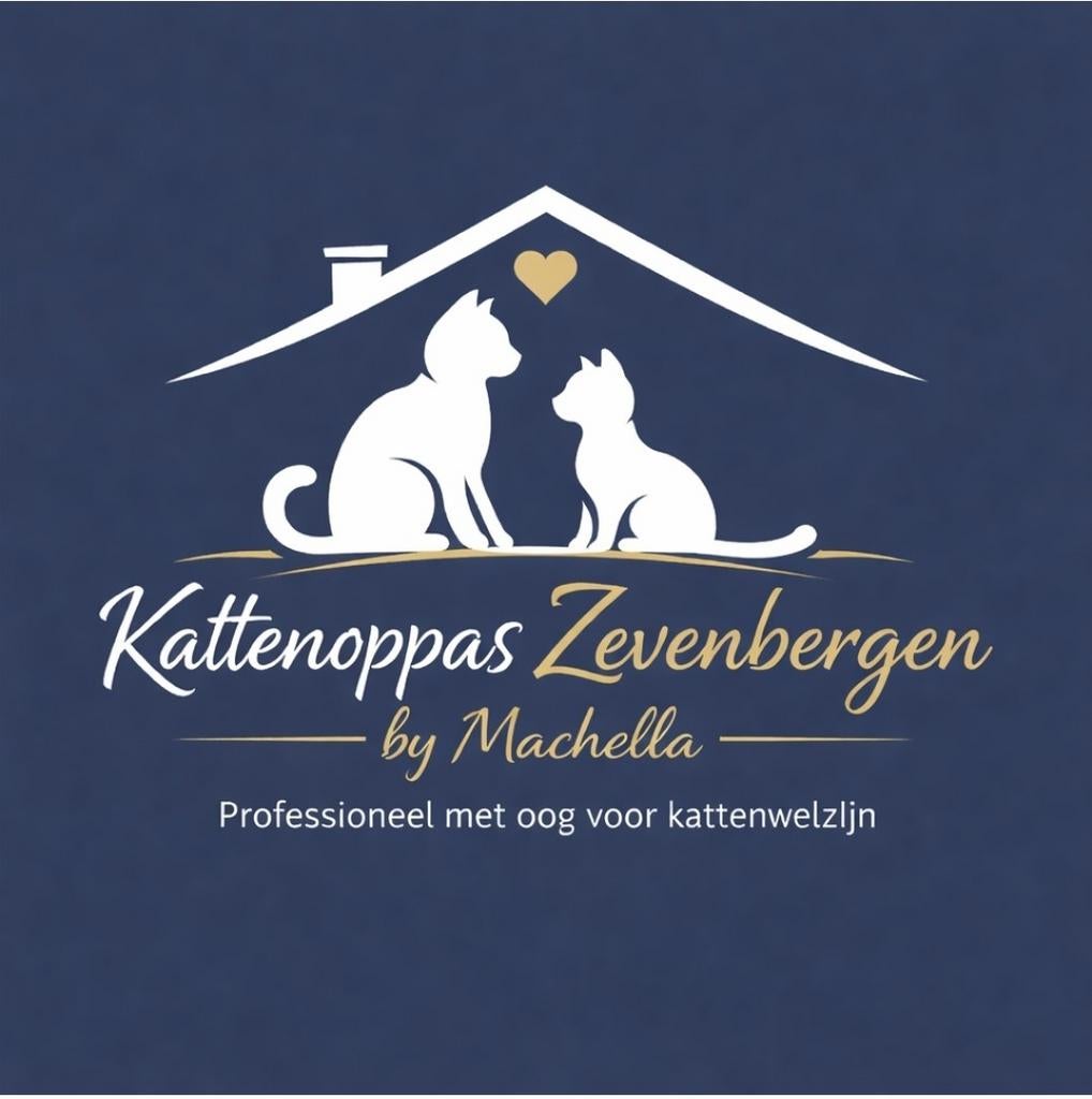 Kattenoppas aan huis Zevenbergen, Ophalen of Verzenden, Kat