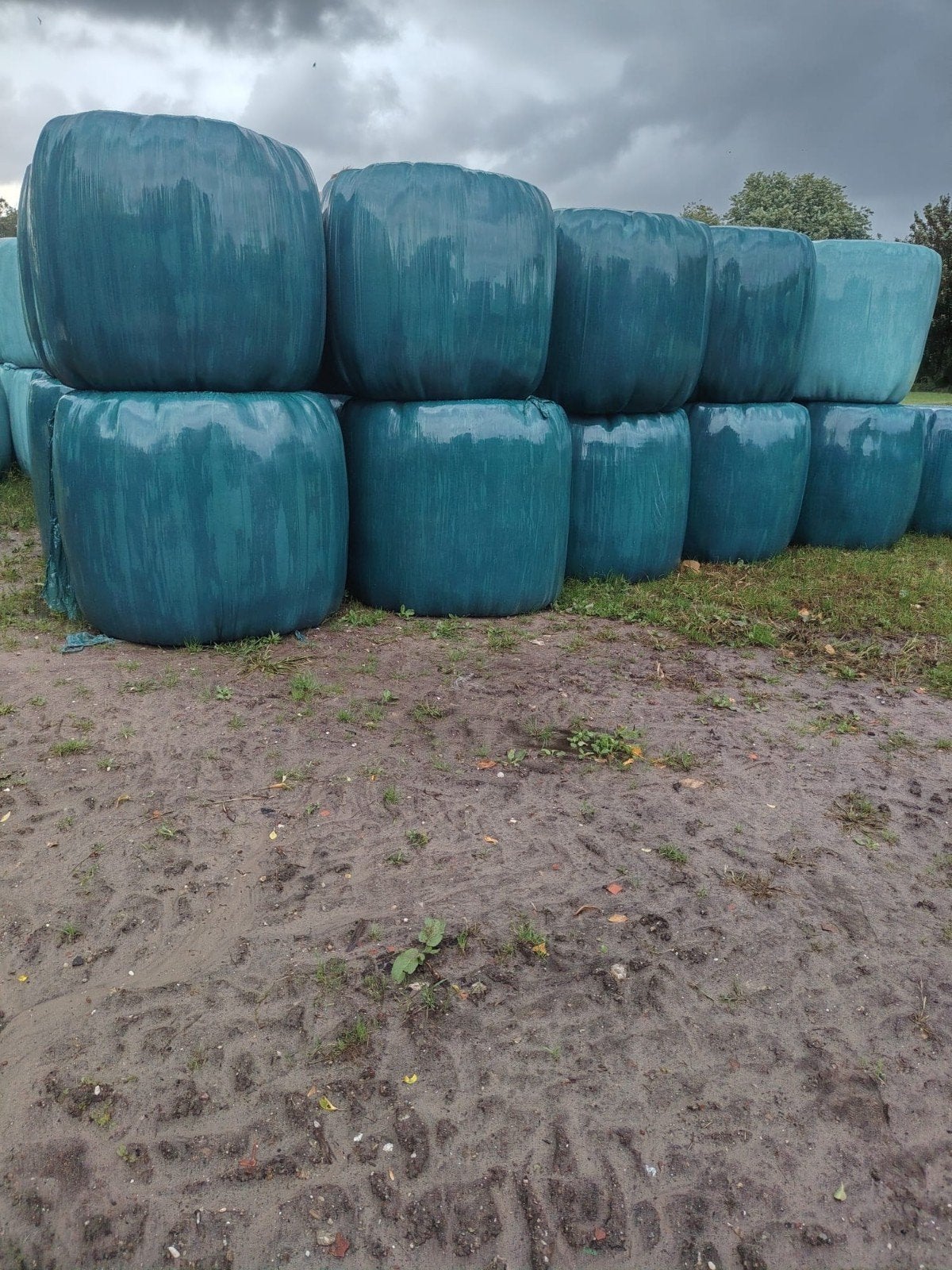 Ronde balen hooi/kuilvoer paarden perfect hooi, Dieren en Toebehoren, Ophalen of Verzenden, Vee