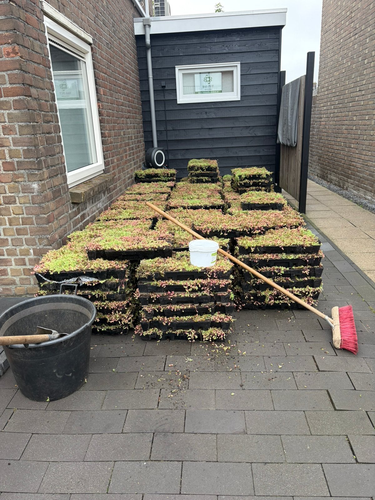 Groendak Sedum cassettes maak het zelf makkelijk