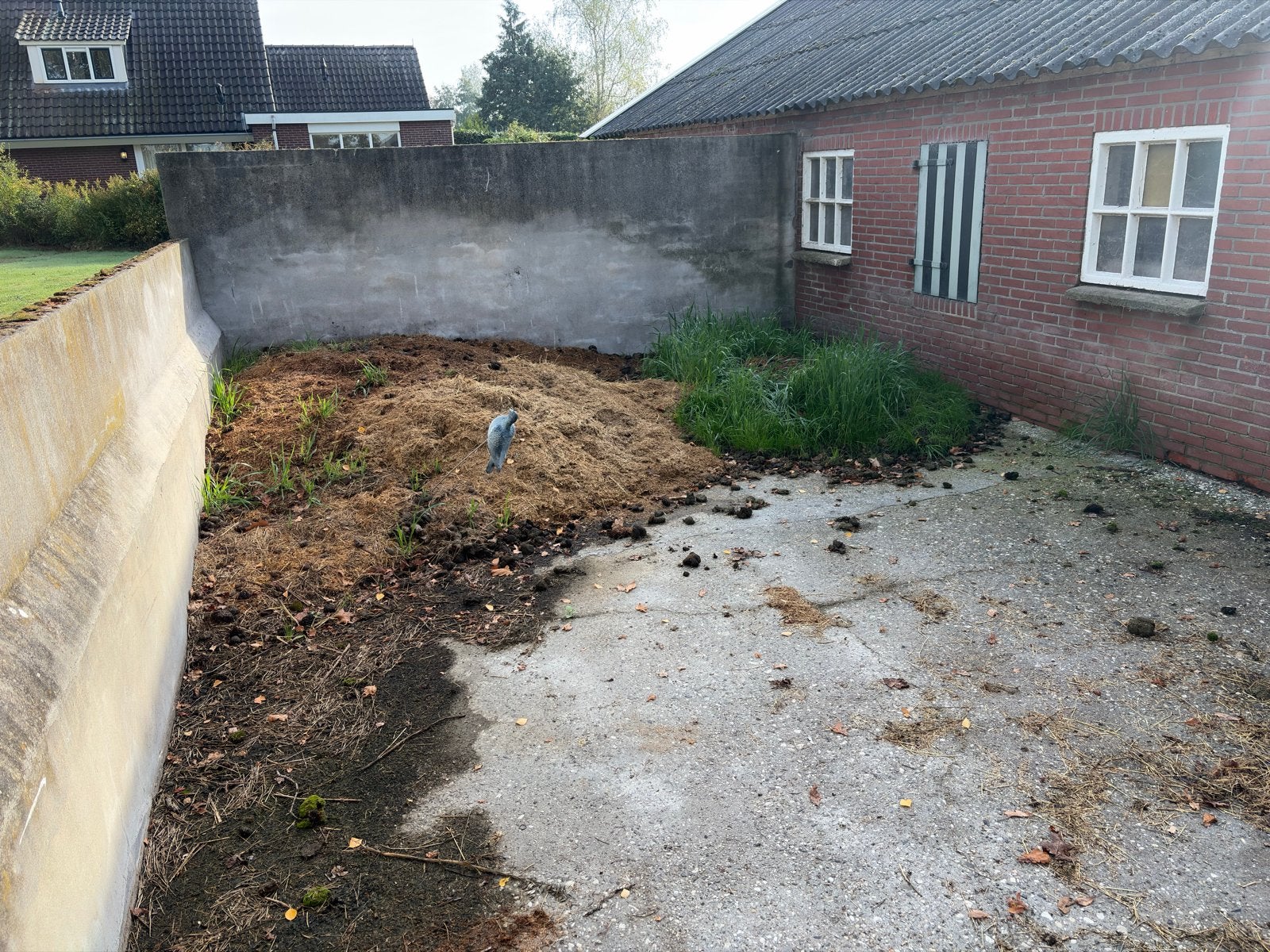 Circa 3 m3 gratis Verse paardenmest voor tuin en moestuin, Ophalen, Mest