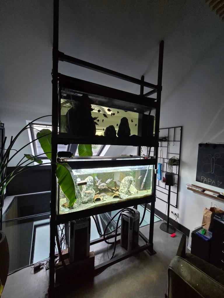 Stelling aquariums te koop, Ophalen