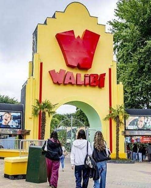 5x entree walibi world pretpark, Ophalen of Verzenden, Nieuw