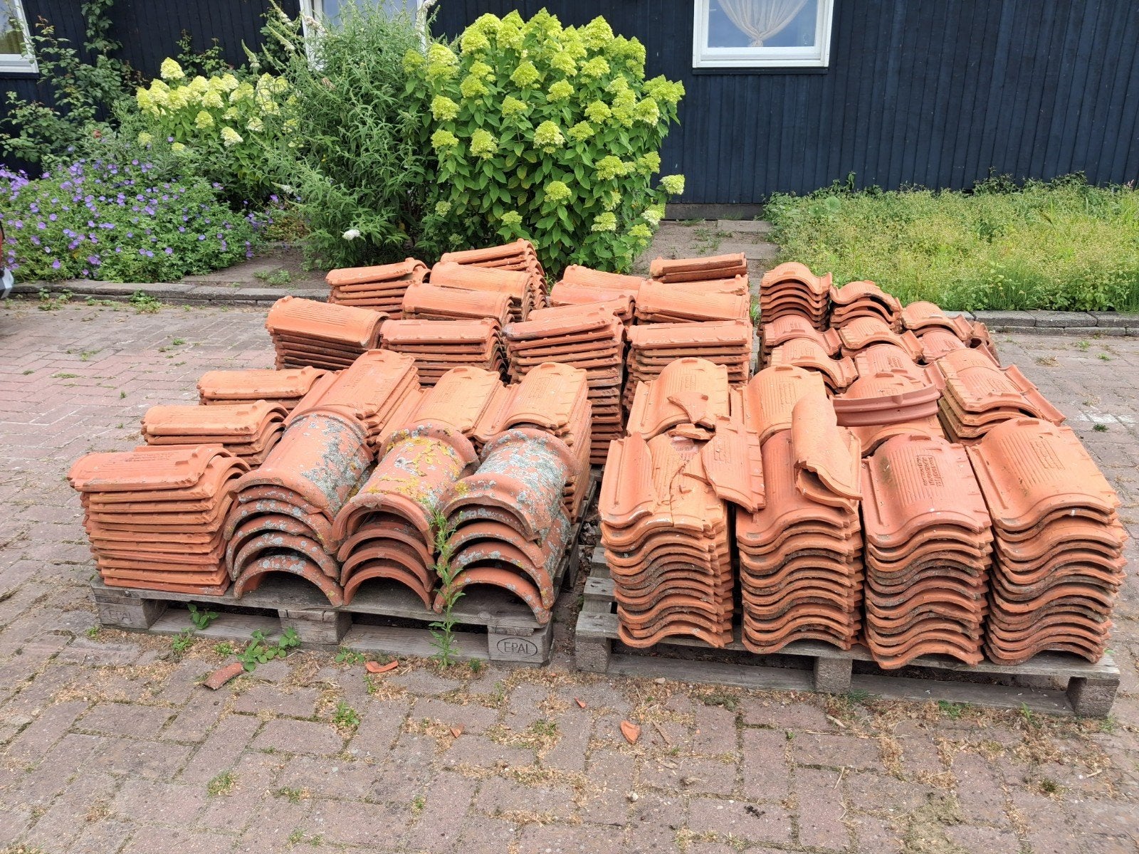 500 dakpannen en 15 nokpannen - Gebruikt, Doe-het-zelf en Verbouw, Dakpannen en Dakbedekking, Gebruikt, Steen of Klei, Ophalen of Verzenden