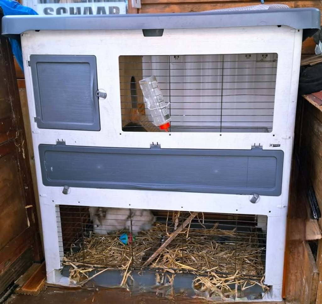 Tekoop Een konijnenhok, Dieren en Toebehoren, Cavia, Ophalen of Verzenden, 90 cm of meer, Hok