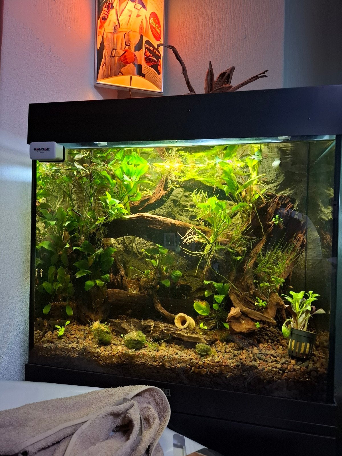 Lido 120, Ophalen, Inclusief deksel, Leeg aquarium, Juwel
