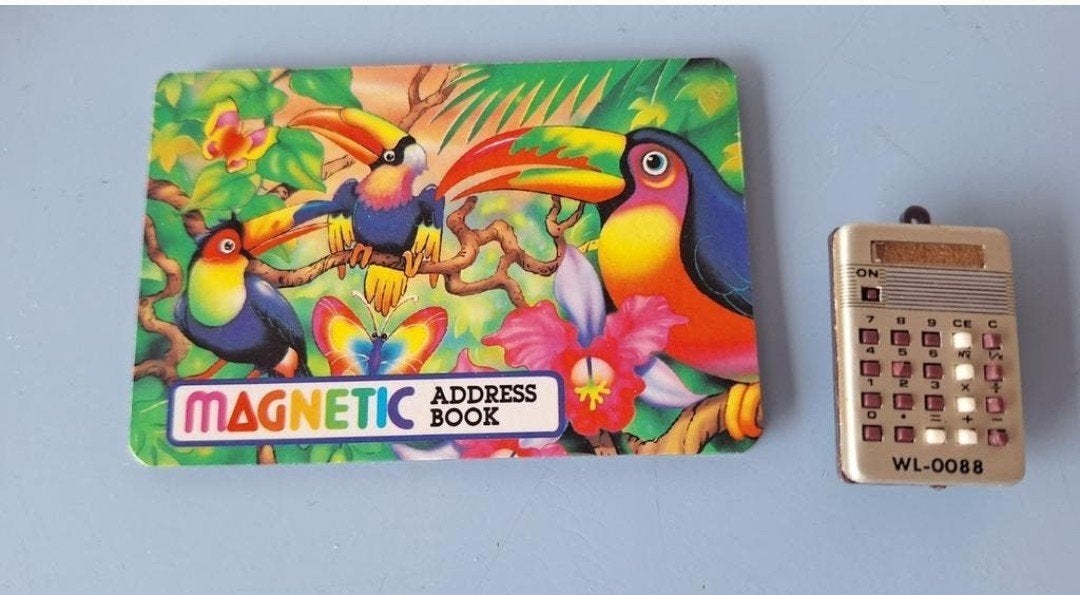 twee vintage koelkastmagneten, Verzamelen, Overige Verzamelen, Ophalen of Verzenden