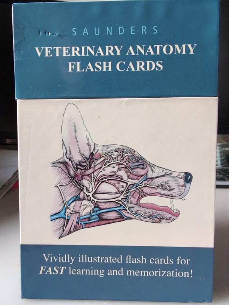 Saunders Veterinary Anatomy Flash Cards, Ophalen of Verzenden, Beta, Zo goed als nieuw