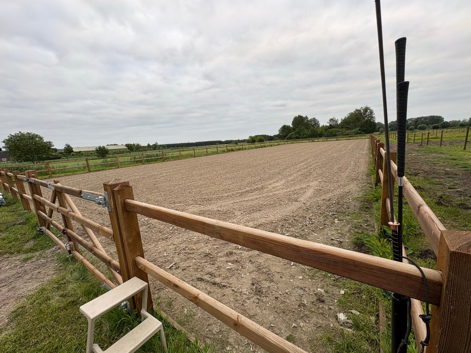 Stal vrij kleinschalige stal aan huis, Dieren en Toebehoren, Weidegang