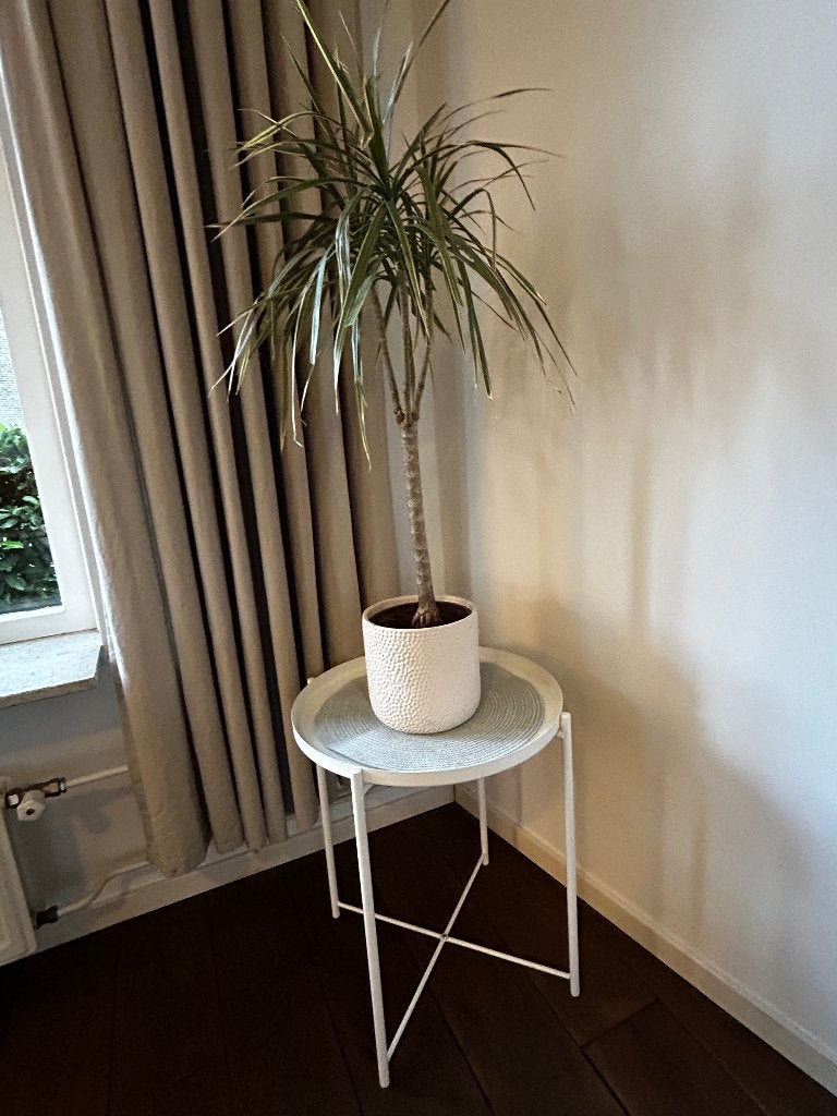 Bijzettafeltjes IKEA Gladon (2x), Minder dan 55 cm, Metaal of Aluminium, Rond, Zo goed als nieuw