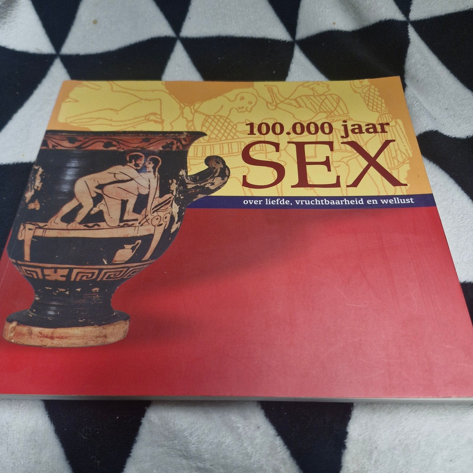 100.000 jaar SEX: Over liefde, vruchtbaarheid en wellust, Ophalen of Verzenden, Gelezen, Overige typen
