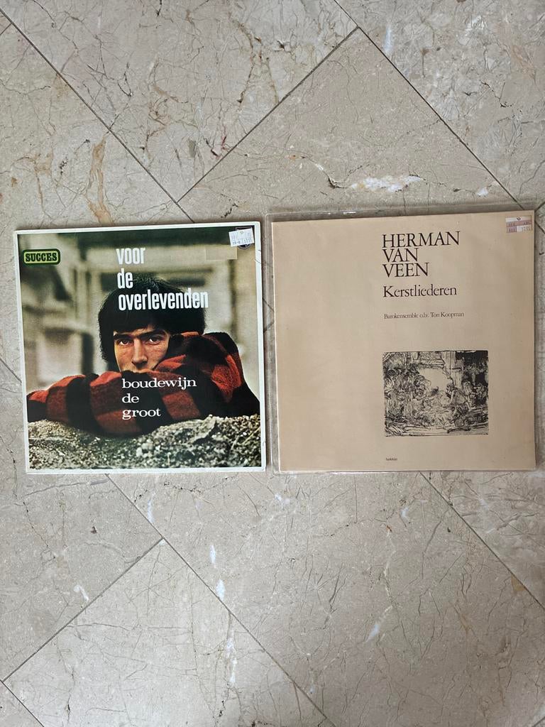 Boudewijn de Groot & Herman van Veen LP's, Cd's en Dvd's, Vinyl | Nederlandstalig, Ophalen of Verzenden, 1970 - 1979, Gebruikt