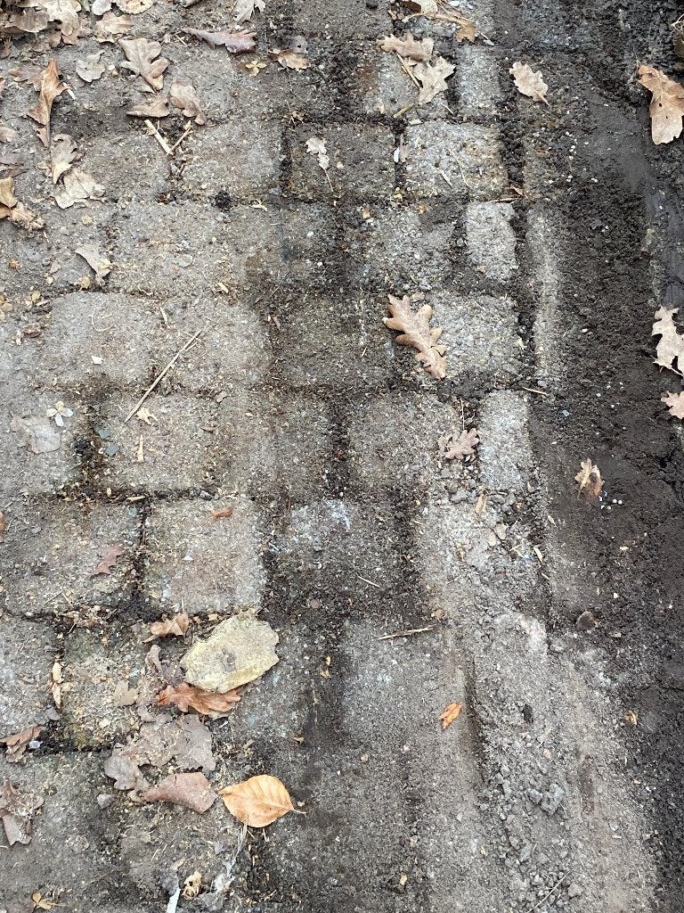 Gratis koppelstones sierbestrating, Ophalen, Gebruikt, Beton, Klinkers