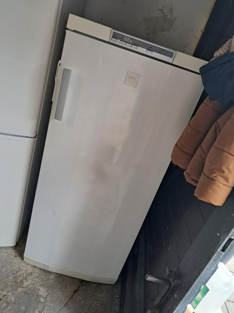 AEG Vrieskast - Goedwerkend ruim en compact, Refurbished, Minder dan 60 cm, Energieklasse A of zuiniger, 140 tot 160 cm