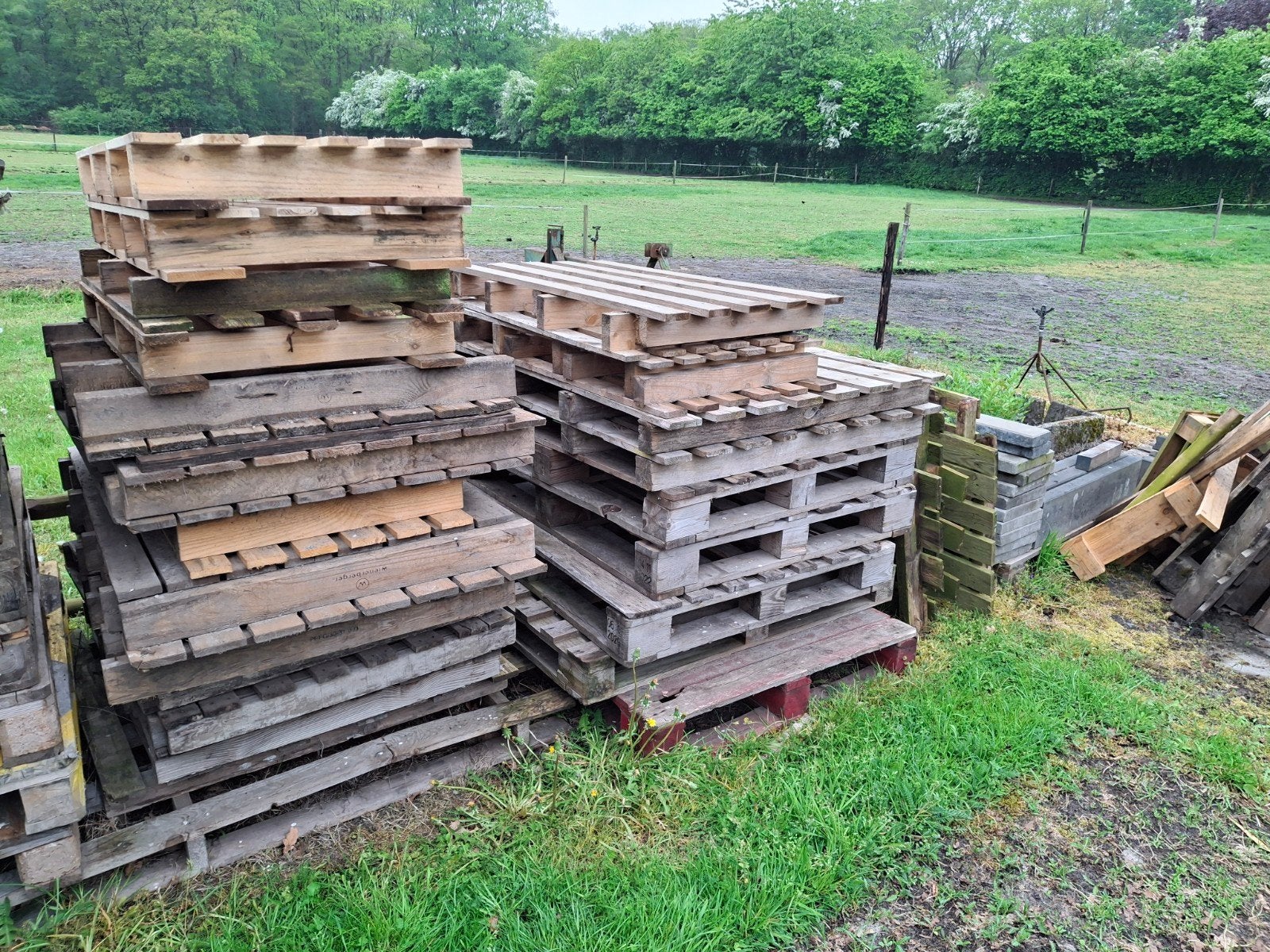 Gratis af te halen: Partij gebruikte houten pallets, Ophalen, Gebruikt, Pallet, Minder dan 200 cm