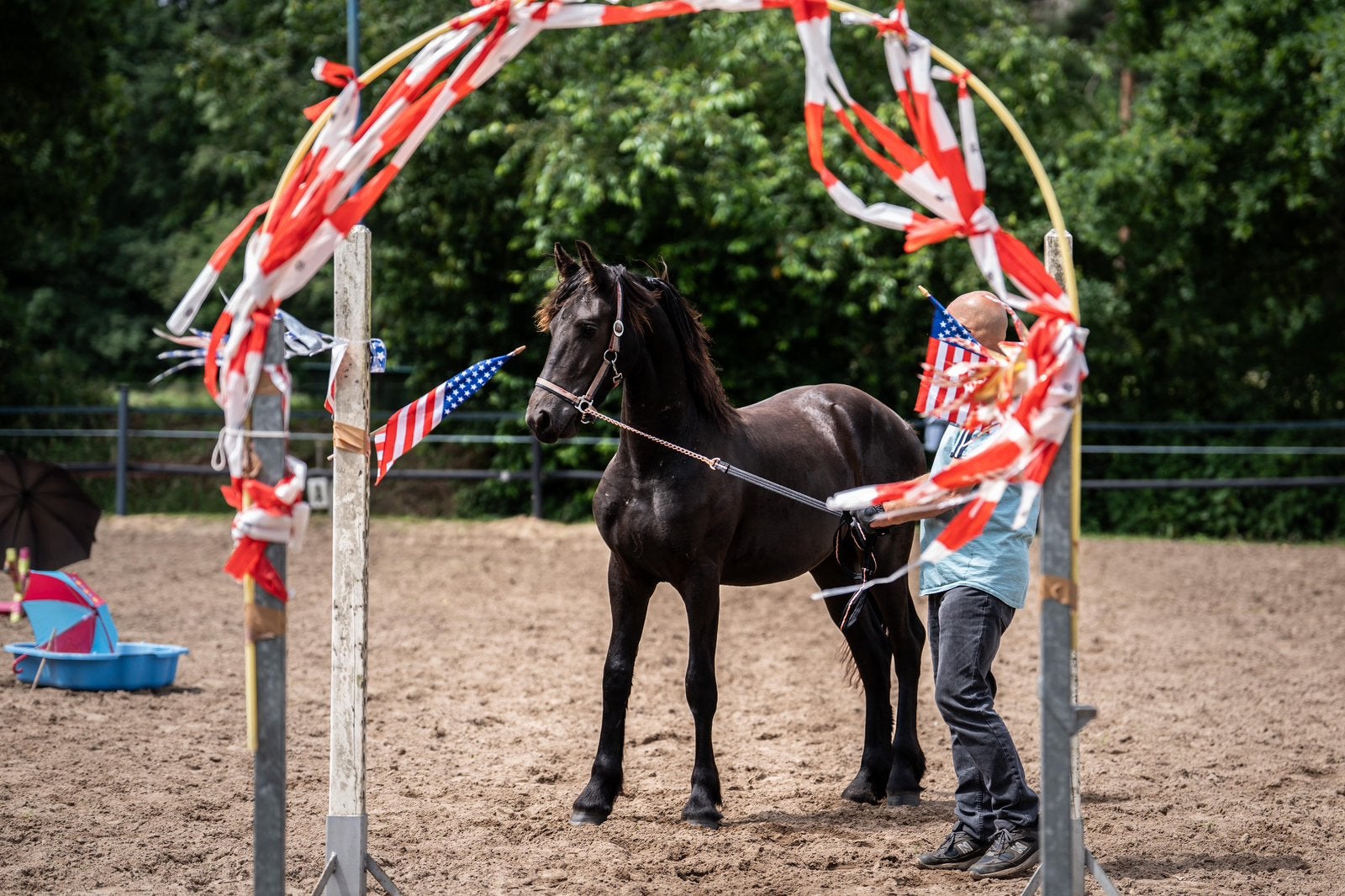Leuke goed bewegende friese hengst, Hengst, Minder dan 160 cm, 0 tot 2 jaar