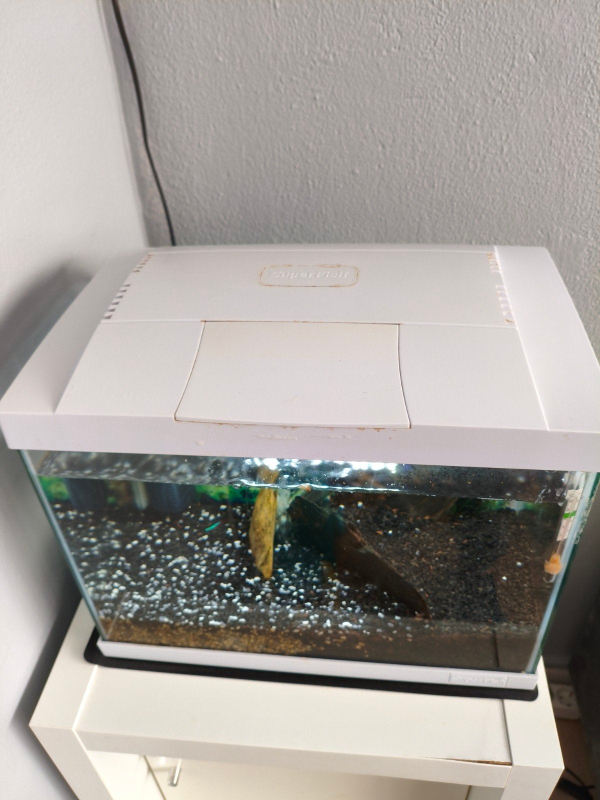 Aquarium 35/22/30 cm, Ophalen, Gebruikt, Leeg aquarium